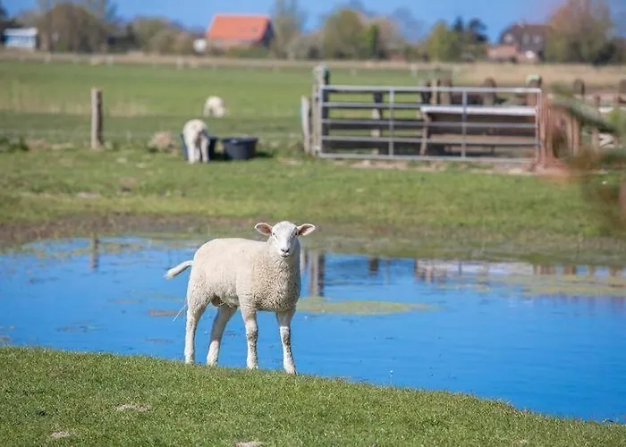 Fewo-inselblick Nordstrand